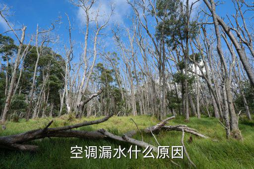 空调漏水什么原因