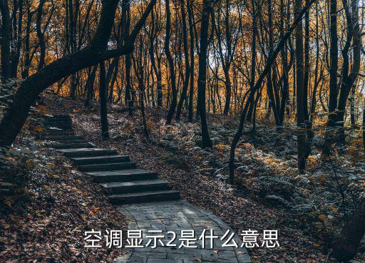 美的空调p2是什么意思，空调吹了一阵子显示屏上突然出现P2就再也不制冷了空调出啥故