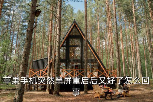 苹果手机突然黑屏重启后又好了怎么回事