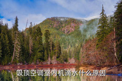 吸顶空调室内机滴水什么原因