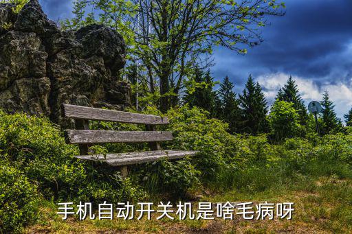 手机自动开关机是啥毛病呀