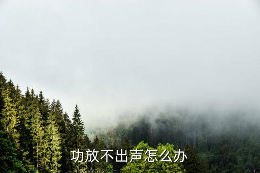 功放不出声怎么办