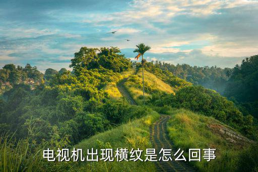 电视机出现横纹是怎么回事