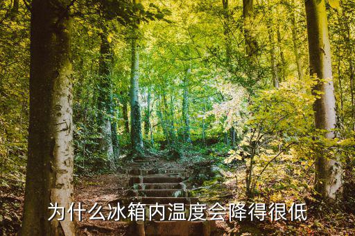 为什么冰箱内温度会降得很低