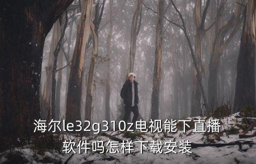 海尔什么电视能下插件，海尔电视怎么下载装软件