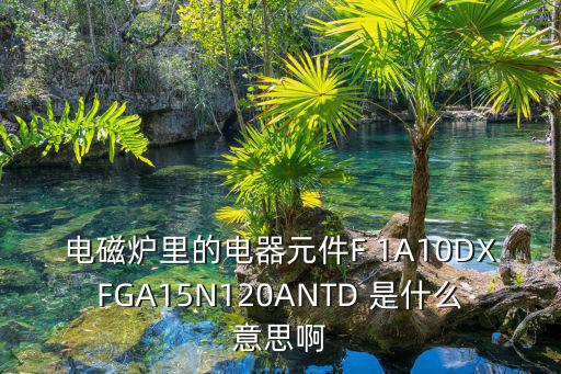 电磁炉里的电器元件F 1A10DXFGA15N120ANTD 是什么意思啊