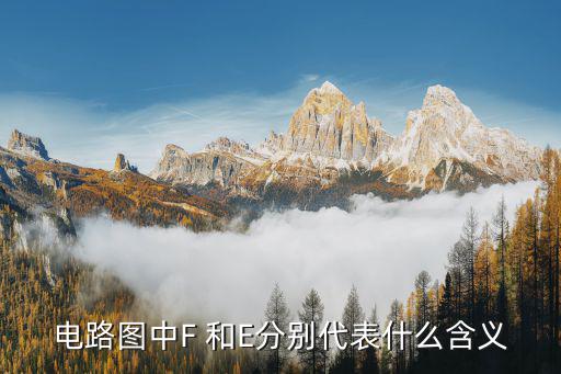 电路图中F 和E分别代表什么含义