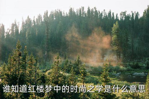 谁知道红楼梦中的时尚之学是什么意思