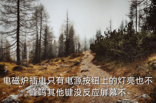 电磁炉插电只有电源按钮上的灯亮也不峰鸣其他键没反应屏幕不
