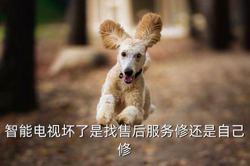 智能电视坏了是找售后服务修还是自己修