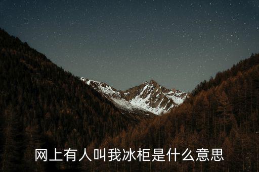 网上有人叫我冰柜是什么意思