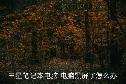 三星笔记本电脑 电脑黑屏了怎么办
