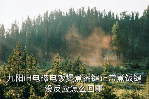 九阳电饭锅为什么失灵，九阳电饭煲所有按键没反应 通电所有灯能亮