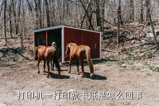 打印机一打印就卡纸是怎么回事