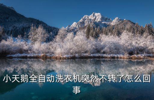 小天鹅洗衣机为什么不上水也不转，滚筒洗衣机不进水也不工作