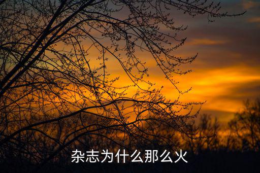 杂志为什么那么火