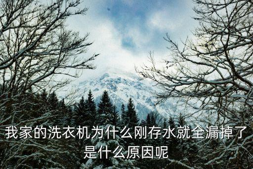 我家的洗衣机为什么刚存水就全漏掉了是什么原因呢