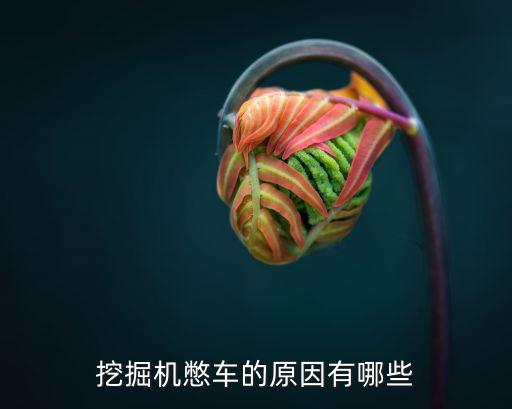 挖掘机憋车什么意思，小中挖机憋车是什么原因