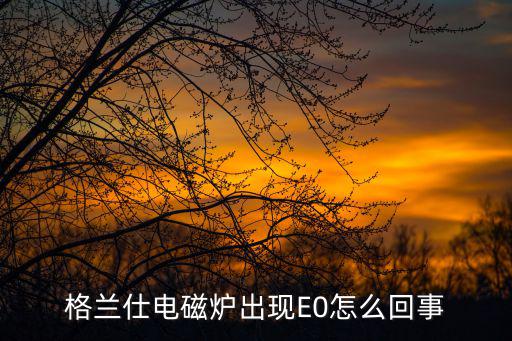 格兰仕电磁炉出现E0怎么回事