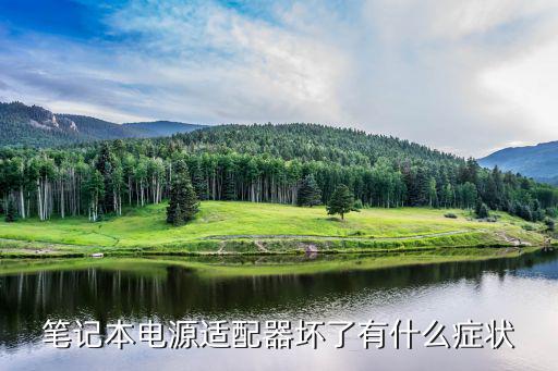 电脑适配器为什么坏，笔记本电源适配器怎么老是坏