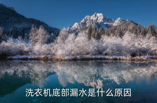 洗衣机底部漏水是什么原因