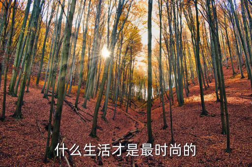 什么生活才是最时尚的