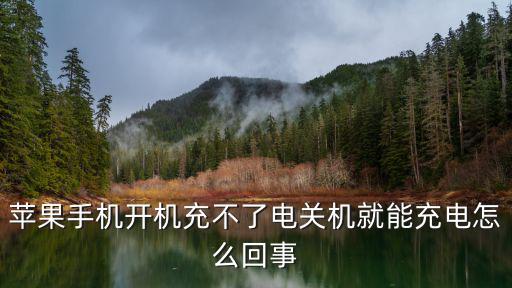 苹果手机开机充不了电关机就能充电怎么回事