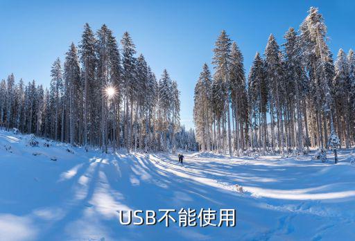USB不能使用