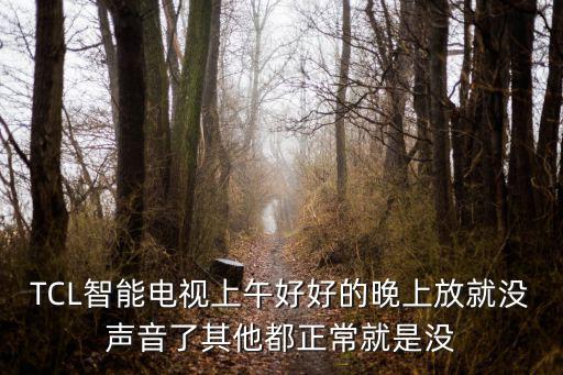 tcl电视为什么没有声音，tcl电视没有声音怎么回事