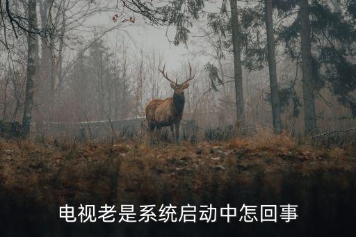 电视老是系统启动中怎回事