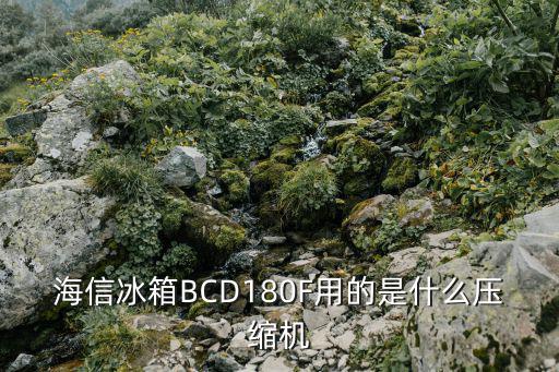 海信冰箱BCD180F用的是什么压缩机