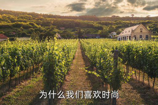 为什么我们喜欢时尚