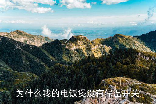为什么我的电饭煲没有保温开关