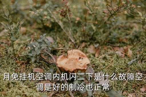 月免挂机空调内机闪二下是什么故障空调是好的制冷也正常