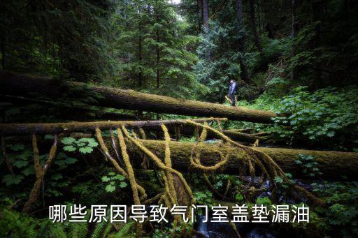 为什么气门室盖往出渗机油，新柴油机气门室盖渗油什么原因