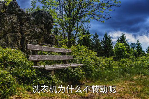 洗衣机为什么不转动呢