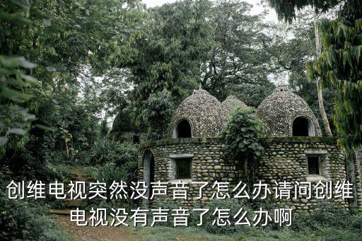 创维电视突然没声音了怎么办请问创维电视没有声音了怎么办啊
