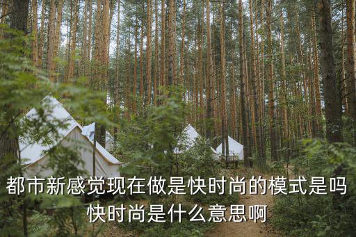 快时尚是什么意思，什么叫做快时尚商品求精确回答