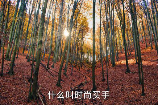 什么叫时尚买手