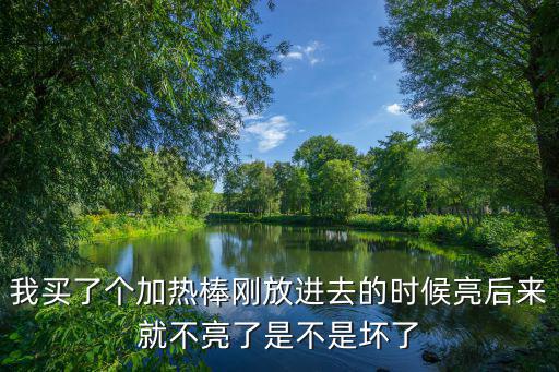 我买了个加热棒刚放进去的时候亮后来就不亮了是不是坏了