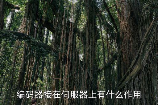 编码器接在伺服器上有什么作用
