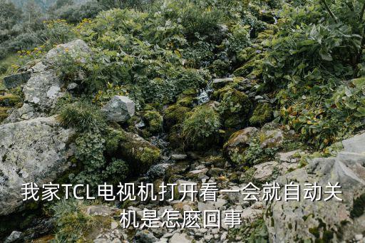 tcl电视为什么老关机，TCL电视老是会自动关机怎么回事