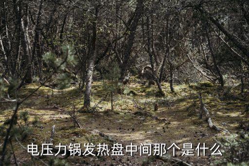 电压力锅发热盘中间那个是什么