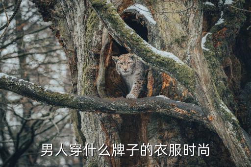 男人穿什么牌子的衣服时尚