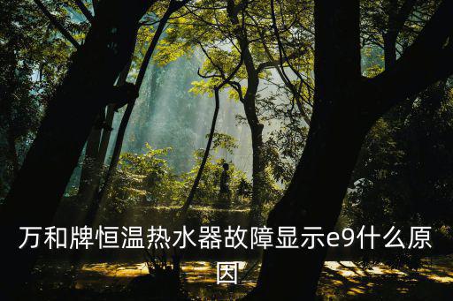 万和牌恒温热水器故障显示e9什么原因