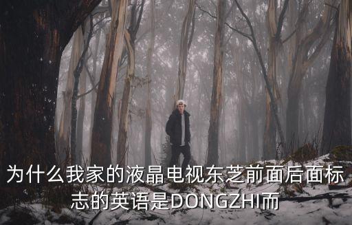 为什么我家的液晶电视东芝前面后面标志的英语是DONGZHI而