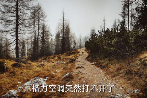 格力空调突然打不开了