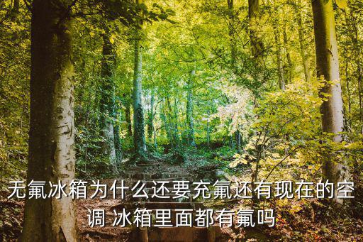 无氟冰箱为什么还要充氟还有现在的空调 冰箱里面都有氟吗