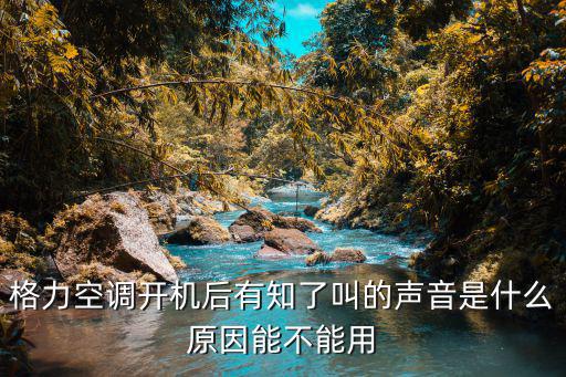 格力空调开机后有知了叫的声音是什么原因能不能用
