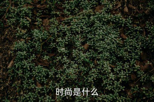 时尚媒体是什么，国内大型时尚传媒集团都有哪些